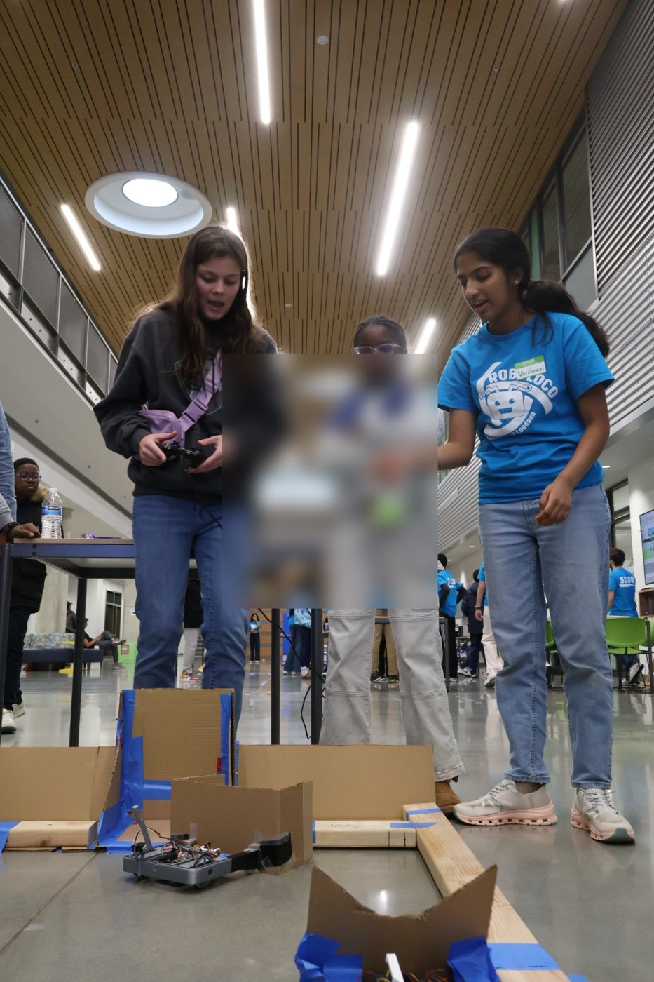Vaishnavi mentoring young researchers